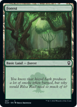 Forest (FOIL): 467 COMMANDER LEGENDS: BATTLE FOR BALDUR'S GATE - Magic the Gathering Single Card