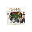 Harry Potter Triwizards Maze Game