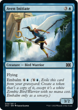 Aven Initiate (FOIL) : 039/331 DOUBLE MASTERS 2022 - Magic the Gathering Single Card