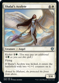 Shalai's Acolyte (FOIL) single card from Magic the Gathering