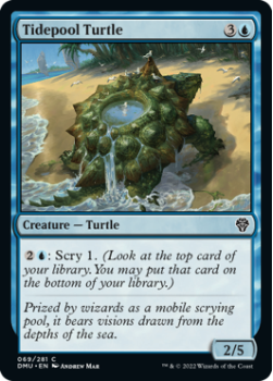 Tidepool Turtle single card from Magic the Gathering