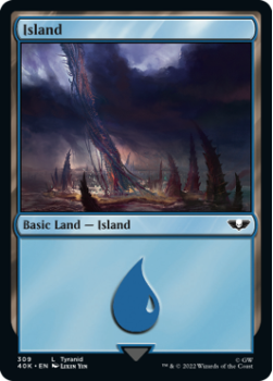 Island single card from Magic the Gathering