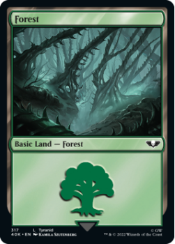 Forest single card from Magic the Gathering