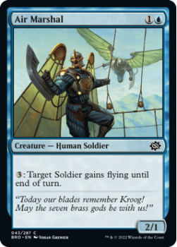 Air Marshal single card from Magic the Gathering
