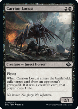 Carrion Locust (FOIL) single card from Magic the Gathering