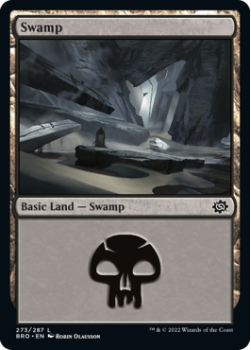 Swamp (FOIL) single card from Magic the Gathering