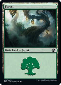Forest (FOIL) single card from Magic the Gathering