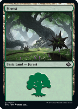 Forest (FOIL) single card from Magic the Gathering