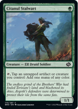 Citanul Stalwart single card from Magic the Gathering