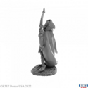 Reaper Miniatures (30084) Bones USA Reaper Legends : Alistrilee, Elf Archer - Image 4