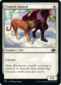 Trained Caracal single card from Magic the Gathering