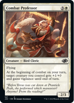 Combat Professor single card from Magic the Gathering