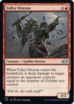 Volley Veteran single card from Magic the Gathering