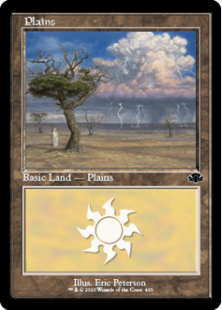 Plains single card from Magic the Gathering