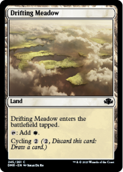 Drifting Meadow single card from Magic the Gathering