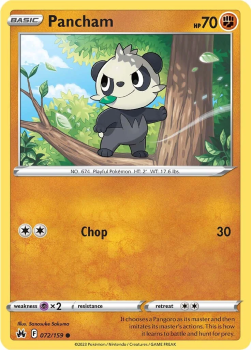 Pancham single card from Pokemon TCG
