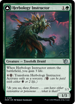 Herbology Instructor // Malady Invoker single card from Magic the Gathering
