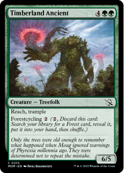 Timberland Ancient single card from Magic the Gathering