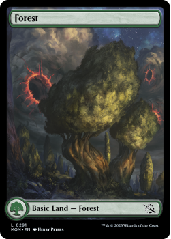 Forest single card from Magic the Gathering