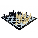 CNChess Large 8'' Chess & Checkers Combo set (waterproof) - Image 4