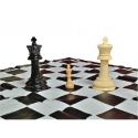 CNChess Large 8'' Chess & Checkers Combo set (waterproof) - Image 3