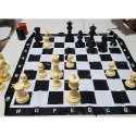 CNChess Large 8'' Chess & Checkers Combo set (waterproof) - Image 2