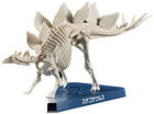 Plannosaurus Stegosaurus Model Kit - Image 5