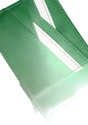 Pokemon - Bifold Wallet - Bulbasaur - Image 3