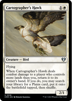 Cartographer's Hawk single card from Magic the Gathering