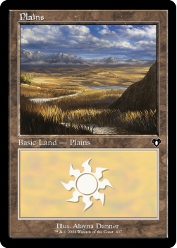 Plains single card from Magic the Gathering