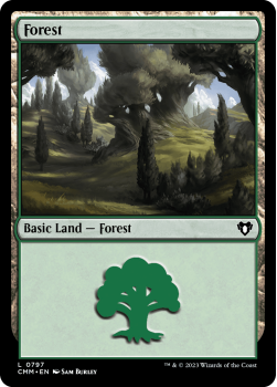 Forest single card from Magic the Gathering