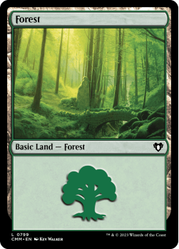 Forest single card from Magic the Gathering