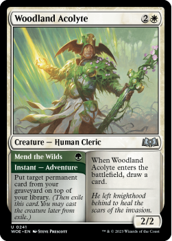 Woodland Acolyte single card from Magic the Gathering