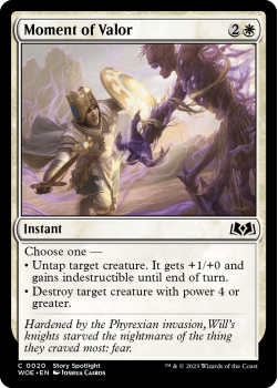 Moment of Valor single card from Magic the Gathering