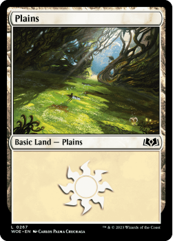Plains single card from Magic the Gathering