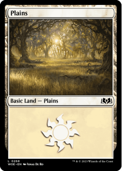 Plains single card from Magic the Gathering