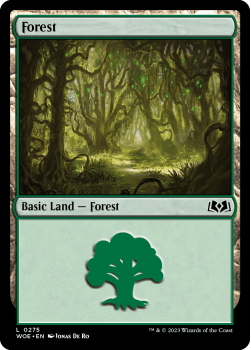 Forest single card from Magic the Gathering
