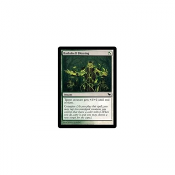 Barkshell Blessing : SHADOWMOOR 224/301 - Magic the Gathering Single Card