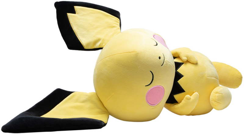 Pichu teddy outlet