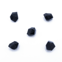 Upgrade Kit for Paleo: A New Beginning Expansion - 13 pieces - Image 4