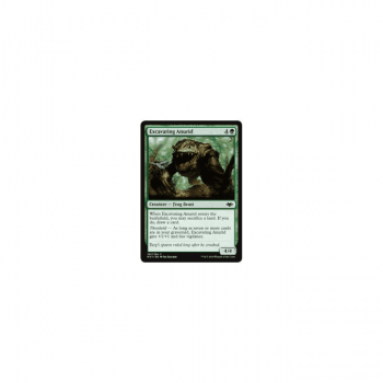 Excavating Anurid : MODERN HORIZONS 163/254 - Magic the Gathering Single Card