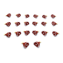 Upgrade Kit for Paleo - 75 pieces - Image 4