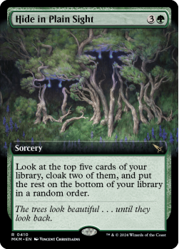 Hide in Plain Sight (EXTENDED)(FOIL) single card from Magic the Gathering