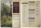 RuneScape Kingdoms: The Roleplaying Game Core Book - Image 5
