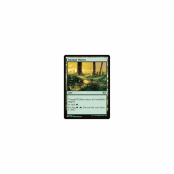 Tranquil Thicket : MODERN HORIZONS 248/254 - Magic the Gathering Single Card