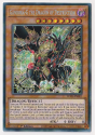 YUGIOH VARUDRAS, L'ULTIMO portatore della fine dei tempi SECRET LEDE YUGIOH VARUDRAS, L'ULTIMO portatore della fine dei tempi SECRET LEDE