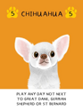 Woof Days - Image 2