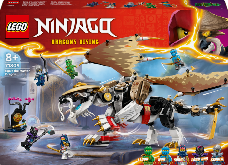 Dragons Rising Ninjago Black Minifigure Lego® Ninjago Dragons