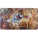 Ultra Pro Modern Horizons 3 Holofoil Playmat Phel, Exuberant Shepherd