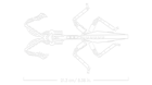 LEGO&reg; Ideas The Insect Collection (21342) - Image 9